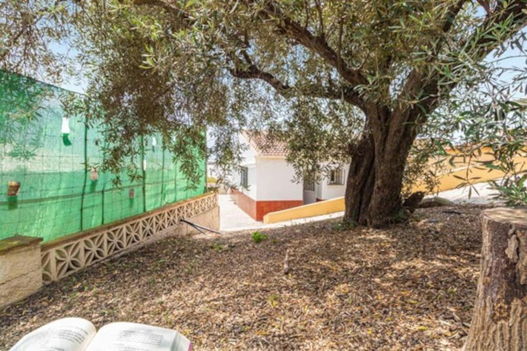 Casa Candiles Torrox Zewnętrze zdjęcie
